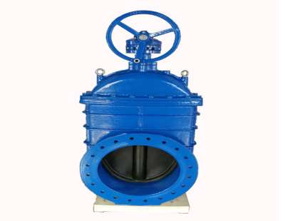 �l�y�S�o(h��)���(xi��ng)�f(shu��)��