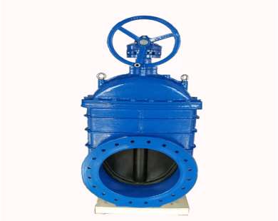 ��(ji��n)�����l�y�ĽY(ji��)��(g��u)�Լ�����